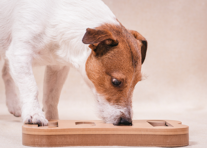Nosework.